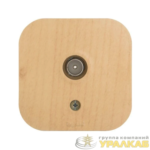 Розетка телевизионная TV 1-м ОП Quteo IP20 с топологией "звезда" дерево IEK 