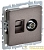 Розетка компьютерная + телевизионная 2-м Brite РТВ/РК12-БрТБ RJ45 кат.5E + TV механизм бронза IEK BR-AK20-1-K45