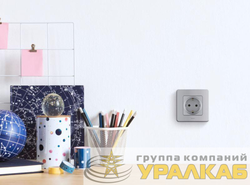 Розетка 1-м СП Inspiria 16А IP20 250В 2P+E немецк. стандарт механизм алюм. Leg 673722 детальная картинка
