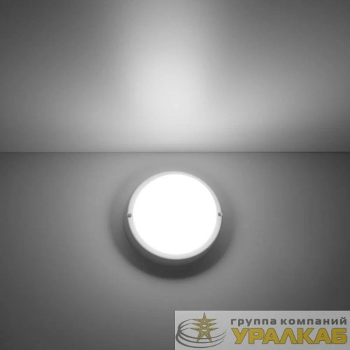 Светильник светодиодный Elementary 8Вт 4000К IP65 800лм d140х48мм ДБП круг настен./потолочн. GAUSS 