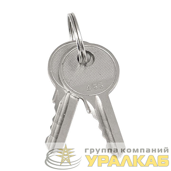 Ключ для замка (арт. 18-16/38-ip31) PROxima EKF key-2