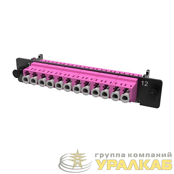 Планка адаптерная с установленными 6xLC Duplex адаптерами (aligned key)(цвет адаптера - пурпурный) OM4 1/2 HU DKC RNAP6LHU4