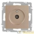 Розетка телевизионная одиночная TV СП Accent 6-301-04 IP20 шампань Intro Б0063609 детальная картинка