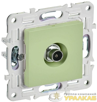 Розетка TV оконечная SKANDY SK-A12G мятный IEK SK-A10-O-K06