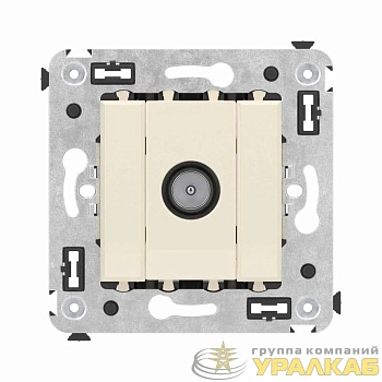 Розетка телевизионная оконечная TV СП Avanti "Ванильная дымка" DKC 