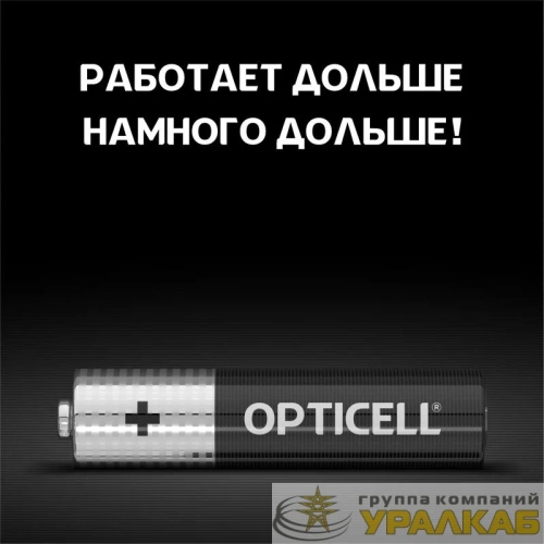 Элемент питания алкалиновый AAA/LR03 (блист. 4шт) Basic Opticell /6051002