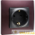 Розетка 1-м СП Etika 16А IP31 250В 2P+E с заземл. защ. шторки немецк. стандарт винтов. клеммы механизм антрацит Leg 672622 детальная картинка