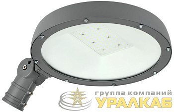 Светильник светодиодный ДКУ Парк 2001-70Д 5000К IP65 IEK LDKU0-2001-070-5000-K02