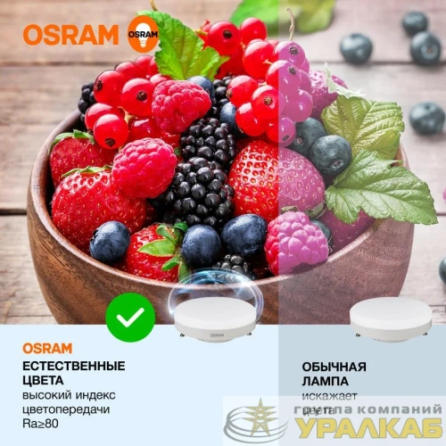 Лампа светодиодная LED Value LVGX5350 6SW/865 6Вт GX53 230В 10х1 RU OSRAM 4058075582033 детальная картинка