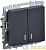 Выключатель 2-кл. СП BRITE ВС10-2-1-БрГ 10А с индик. механизм графит IEK BR-V20-1-10-K53