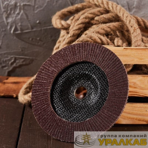 Круг лепестковый торцевой P80 180х22.2мм Kranz 