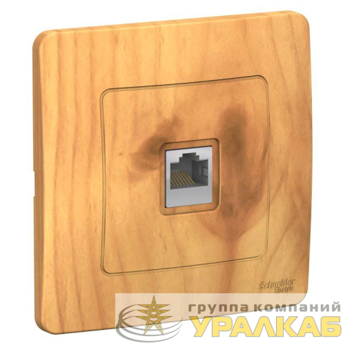 Розетка компьютерная 1-м СП Blanca RJ45 кат.5E ясень SE 