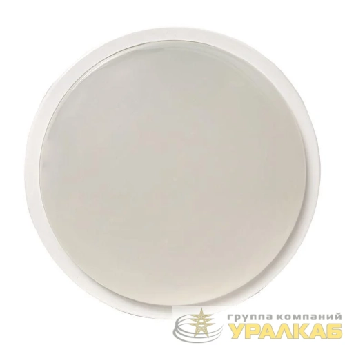 Светильник светодиодный ЖКХ ДПО-2003 15Вт 4000К IP65 круг LUMA EKF BKL-2003-R-15-4000 детальная картинка