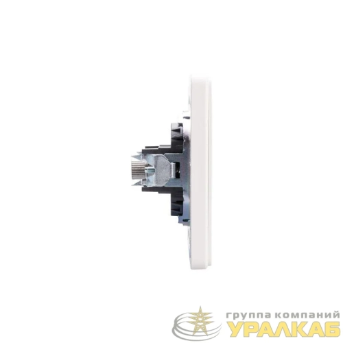 Розетка телевизионная TV СП ROUND MIELE перламутр Kranz 