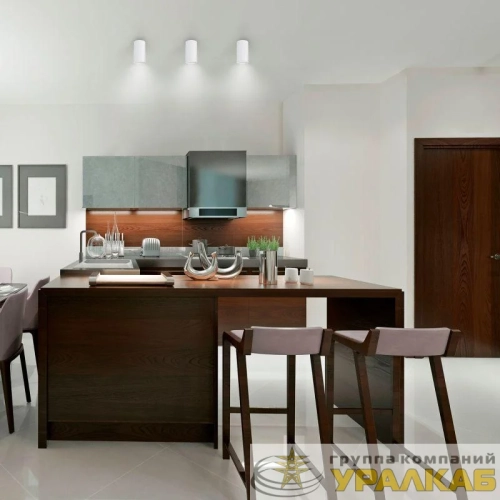 Светильник Basic накладной под лампу GU10 бел. GAUSS 