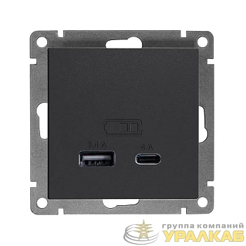 Розетка 2-м USB СП Афина тип А+С 5В 1х2.4А 2х4А механизм графит Universal 