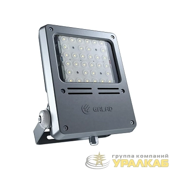 Светильник светодиодный "Звезда" LED-60-Д120-IP67-У1(1/LIRA/740/RAL7040/TG/AC230/D/X/G2) GALAD 24037