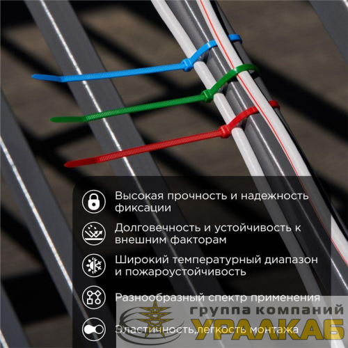 Хомут кабельный 3.6х200 нейл. разноцвет. (уп.25шт) Rexant 07-0208-25 детальная картинка