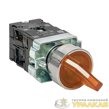 Переключатель BD21 2P с желт. подсветкой 230В NO PROxima EKF xb2-bk21-y-230