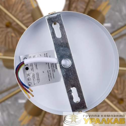 Светильник Brillia 60Вт E14х6 IP20 потолочн. Freya FR5274CL-06G детальная картинка