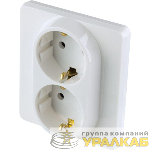 Розетка Inspiria 16А 250В 2х2P+E немецк. стандарт бел. Leg 673750 детальная картинка