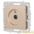Розетка телевизионная одиночная TV СП Accent 6-301-04 IP20 шампань Intro Б0063609 детальная картинка