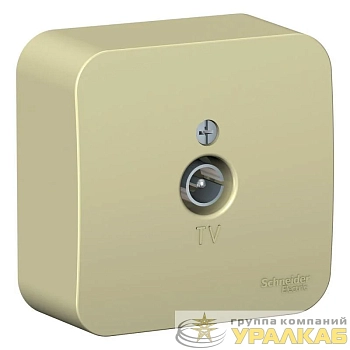Розетка телевизионная TV ОП Blanca коннектор с изолир. пластиной беж. SE 