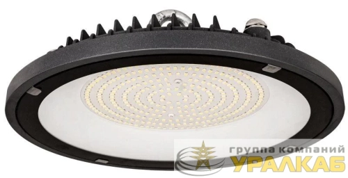 Светильник светодиодный ДСП 4020 100Вт 6500К IP65 GENERICA LDSP0-4020-100-6500-K02-G детальная картинка