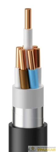Кабель КВВГЭнг(А)-LS 7х4 0.66кВ (м) Эм-кабель 00000074733 детальная картинка Кабель КВВГЭнг(А)-LS 7х4 0.66кВ (м) Эм-кабель 00000074733 детальная картинка