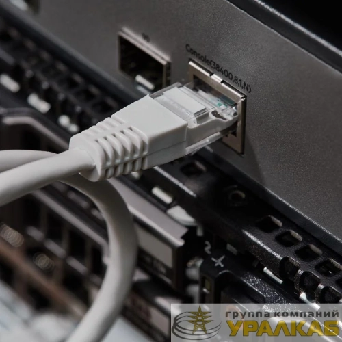 Патч-корд UTP 5e кат. литой 0.5м сер. Rexant 18-1001 детальная картинка