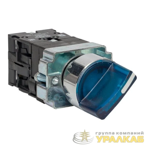 Переключатель BD21 2P с син. подсветкой 230В NO PROxima EKF xb2-bk21-b-230 детальная картинка Переключатель BD21 2P с син. подсветкой 230В NO PROxima EKF xb2-bk21-b-230 детальная картинка