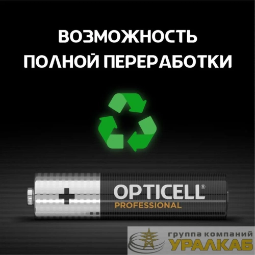 Элемент питания алкалиновый AAA/LR03 (блист. 4шт) Professional Opticell /6052002