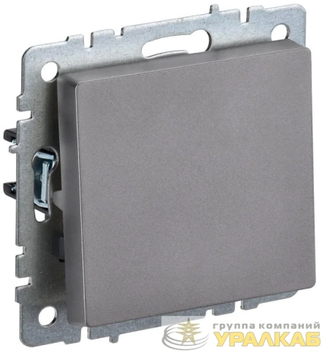 Выключатель 1-кл. СП BRITE ВС10-1-0-БрС 10А механизм сталь IEK BR-V10-0-10-K46 детальная картинка
