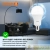 Лампа светодиодная LED Value A 25Вт 6500К холод. бел. E27 2000лм угол пучка 180град. 220-240В матов. пластик (замена 200Вт) OSRAM 4058075696471 детальная картинка