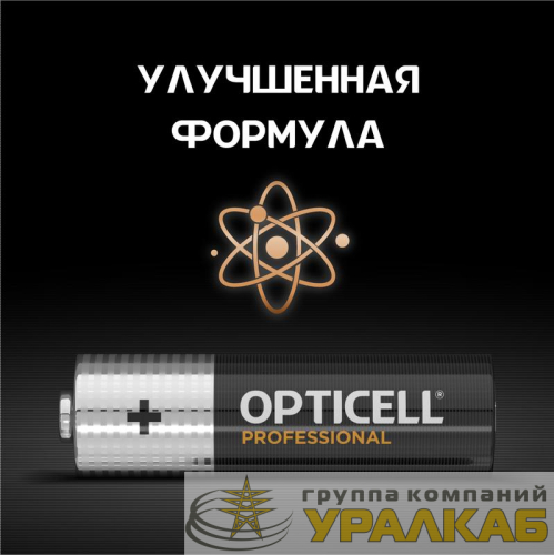 Элемент питания алкалиновый AA/LR6 (блист. 4шт) Professional Opticell 5052001 детальная картинка