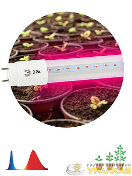 Лампа светодиодная FITO-18W-RB-Т8-G13-NL 18Вт T8 линейная 96LED 2835 IP20 35000ч для растений/для подсветки мясных витрин красн./син. спектр стекло Эра Б0042990