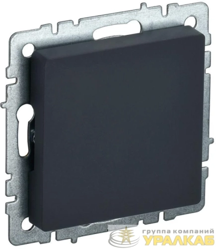 Заглушка c суппортом BRITE МЗ10-БрГ механизм графит IEK BR-PL10-K53 детальная картинка
