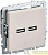 Розетка BRITE USB A+A 3.1А РЮ10-1-БрКр механизм беж. IEK BR-U21-D31-K10