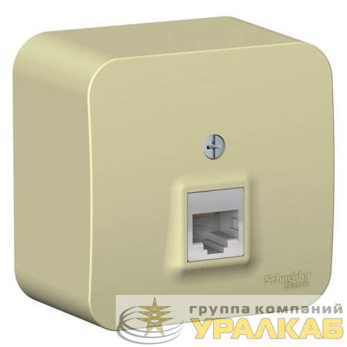 Розетка компьютерная 1-м ОП Blanca RJ45 кат.5E с изолир. пластиной беж. SE BLNIA045007 детальная картинка