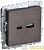 Розетка BRITE USB A+C 18Вт РЮ11-1-БрТБ механизм бронза IEK BR-U22-018-K45
