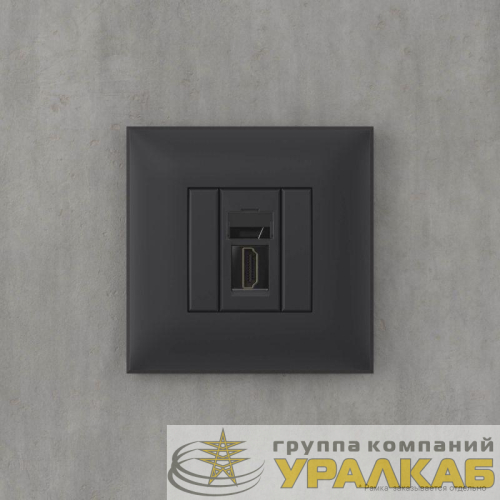 Розетка HDMI 1-м СП Avanti "Черный матовый" тип А-А DKC 4412253 детальная картинка