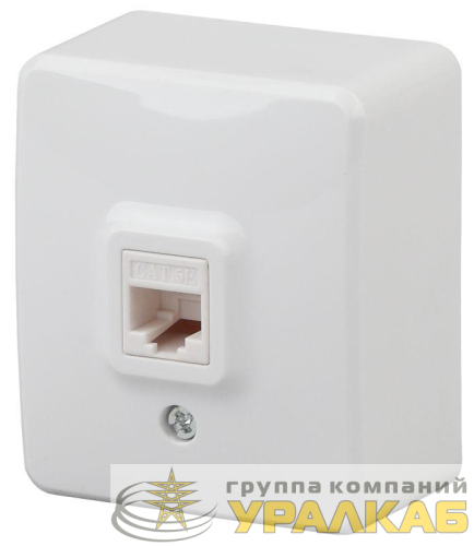 Розетка информационная RJ45 ОП 11-3203-01 Эксперт бел. ЭРА Б0020730 детальная картинка
