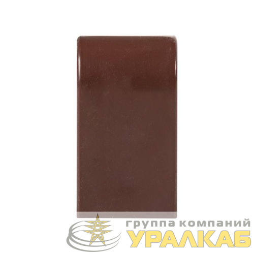 Заглушка 25х25 под темн. дерево Plast PROxima (уп.4шт) EKF ecd-25-25x4 детальная картинка