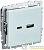 Розетка BRITE USB A+C 18Вт РЮ11-1-БрЖ механизм жемчуж. IEK BR-U22-018-K36