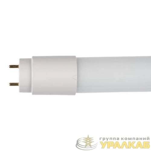 Лампа светодиодная PLED T8-1200GL 30Вт T8 матовая 4000К G13 FROST JazzWay 