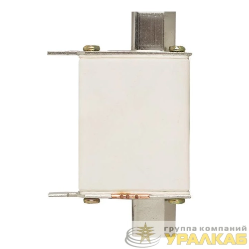 Вставка плавкая ППН-33 100/100А 50кА габарит 00С PROxima EKF fus-33/100 детальная картинка