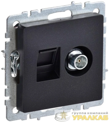 Розетка компьютерная + телевизионная 2-м Brite РТВ/РК12-БрЧ RJ45 кат.5E + TV механизм черн. IEK BR-AK20-1-K02 детальная картинка
