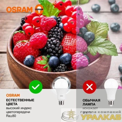 Лампа светодиодная LED Value A 25Вт 4000К нейтр. бел. E27 2000лм угол пучка 180град. 220-240В матов. пластик (замена 200Вт) OSRAM 4058075696358 детальная картинка