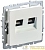 Розетка двойная СП BRITE RJ11+RJ45 кат.5E РК/Т12-БрЖ механизм жемчуж. IEK BR-KT20-O-1-K36