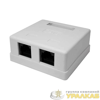 Розетка компьютерная 8P8C RJ-45 UTP кат.6 2 порта (DIY) SUPRLAN 10-0310-1